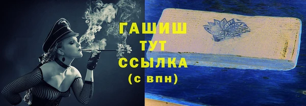 индика Протвино