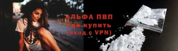 индика Аркадак