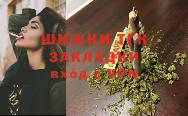 индика Протвино