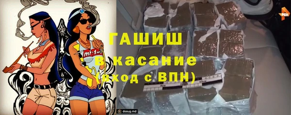 индика Аркадак