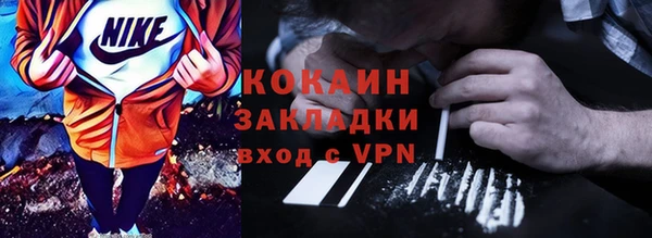 индика Аркадак